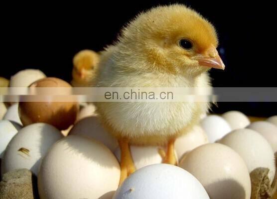 Automatic Chicken Egg Incubator Hatching Machine/Mini Egg Incubator with CE