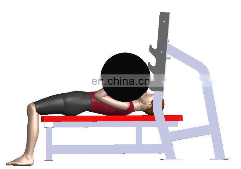 High Quality Commercial Flat Bench For Gym Equipment