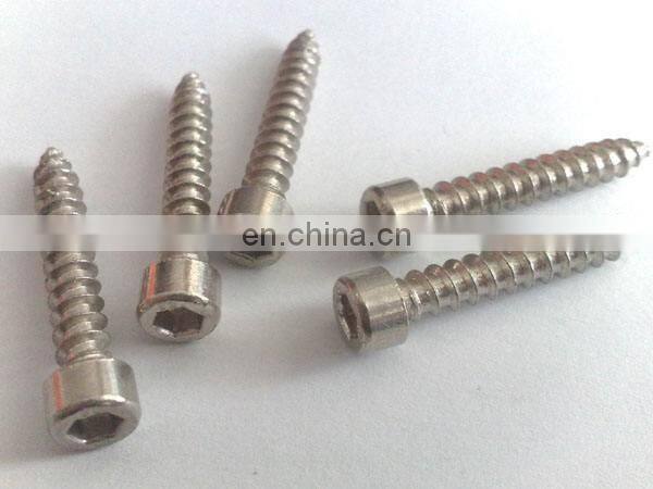 Stainless Steel Screw Hex Socket Button Head Screw