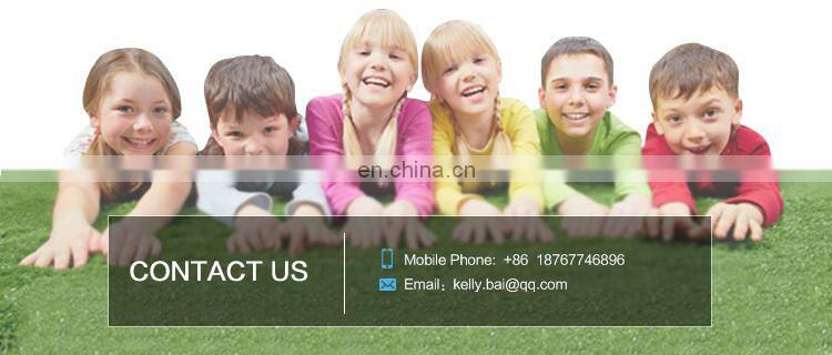 Indoor Playground Plastic Kids Rock Holds Climbing Wall