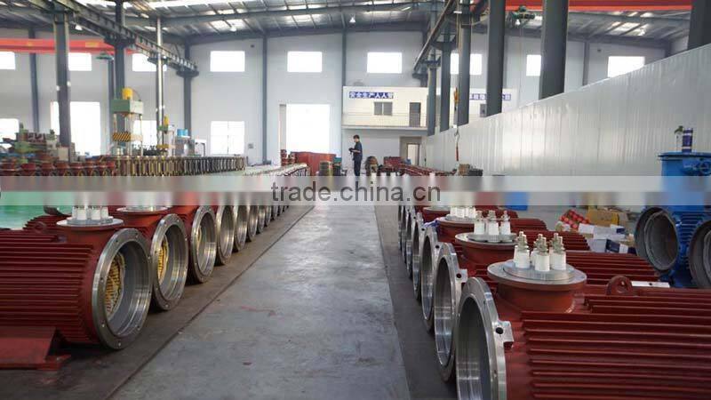 Henan YZS-3-6 three phase electric vibration motor