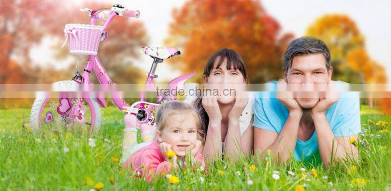 HH-K2093 20inch children bike kids bike for russia market with flag