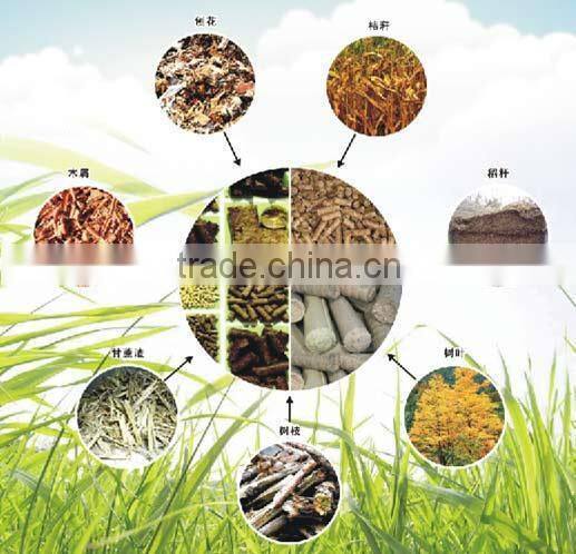 0.7-14 Thermal Power Biomass Hot Water Boiler