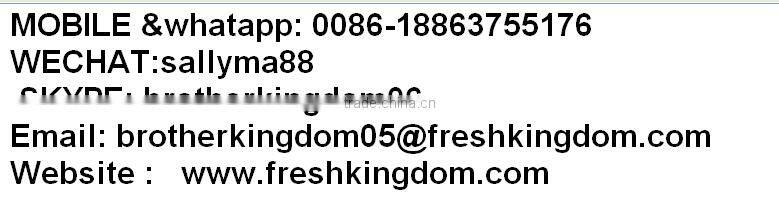 Chestnut/Fresh chestnut/ Chestnut wholesale