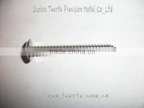 Truss head self tapping screw in best selling