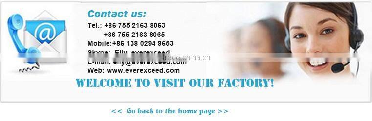 EverExceed New Grid-off ESC series 150W-3000W inverter