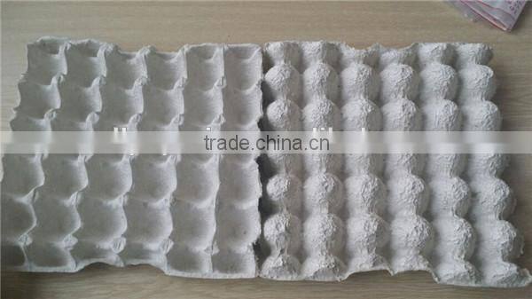 Mold recycle biodegradable molded fiber paper pulp egg trays price for sale manufacturers