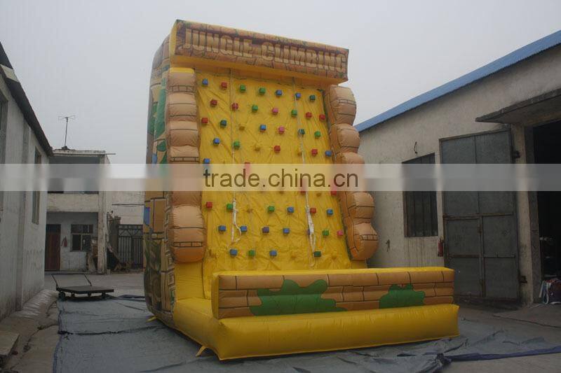 Outdoor inflatable rock climbing, party backyard climbing wall rental