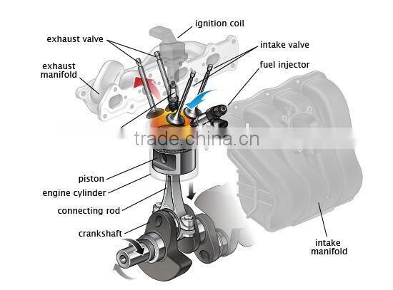 Professional decade plug cap NGK Spark Plug standard wholesale choice
