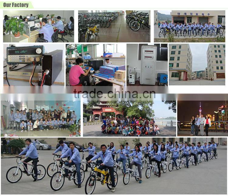 Best sellng dusc break 160 disc break tow wheels stand up electric mountain bike