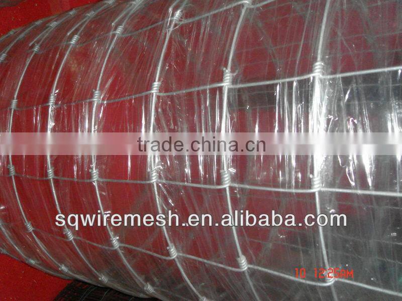 Anping Factory Field Fence