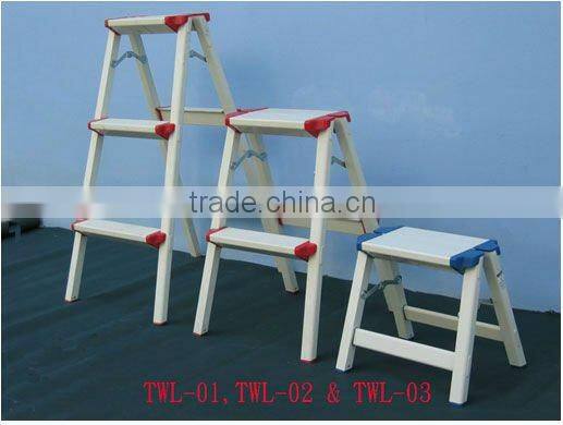 ALUMINUM LADDER