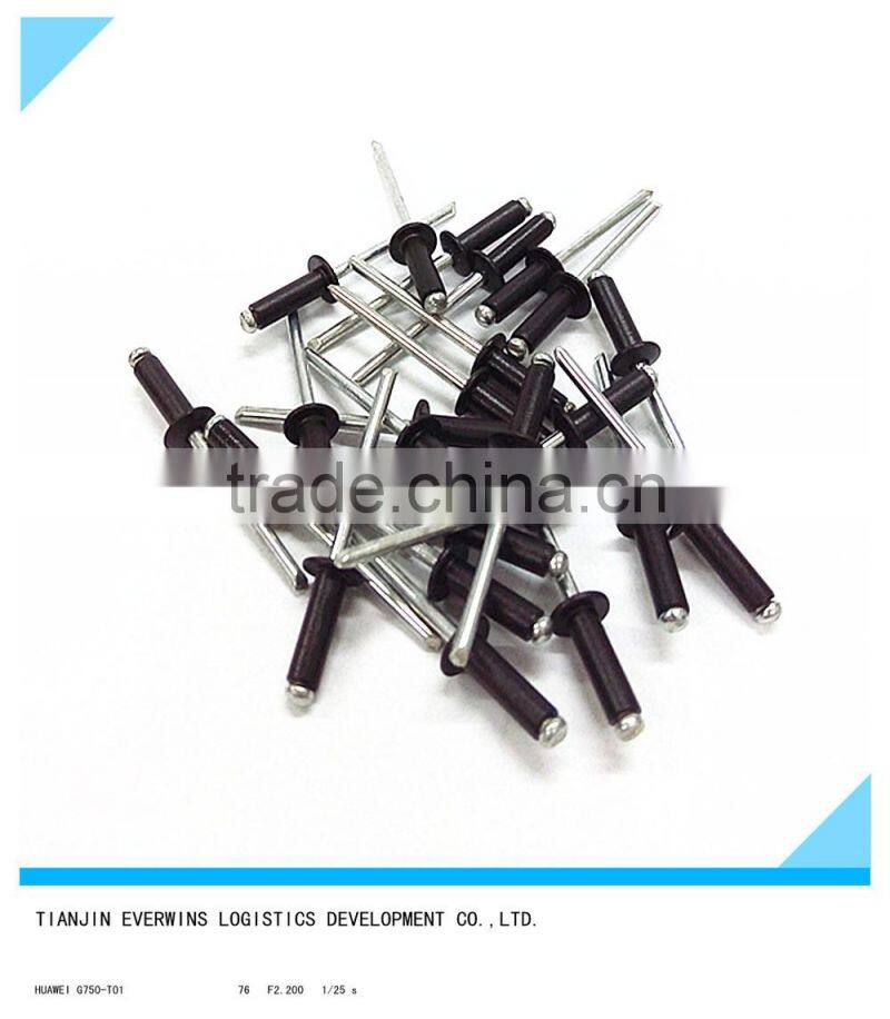 High quality Black color Rivet