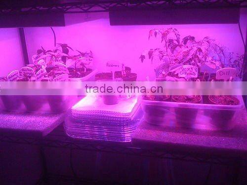 300w led grow light vegetable with 8 pcs fans