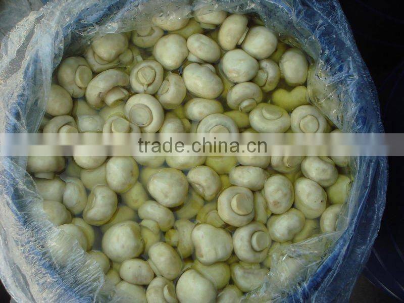 Brined Shiitake Mushroom