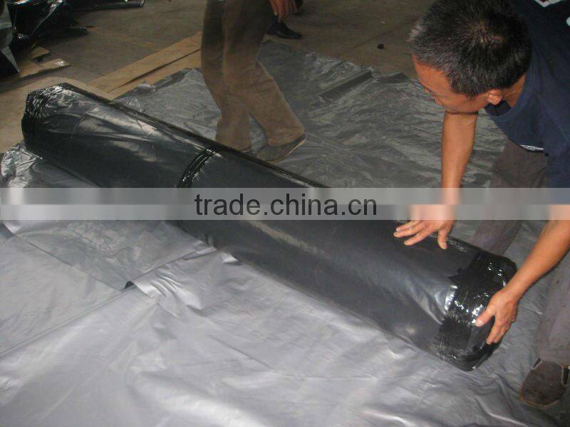 Reinforcement Polyester Geogrid