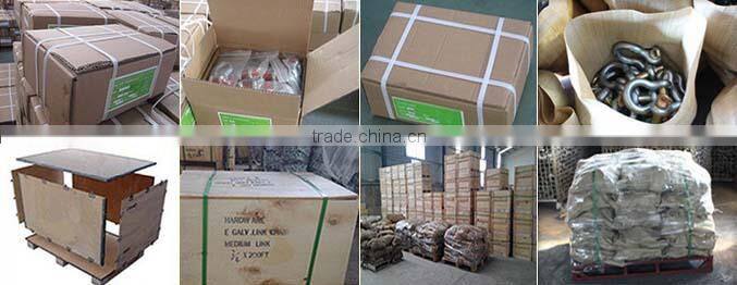 US Type High Strength Alloy Steel Chain Hook