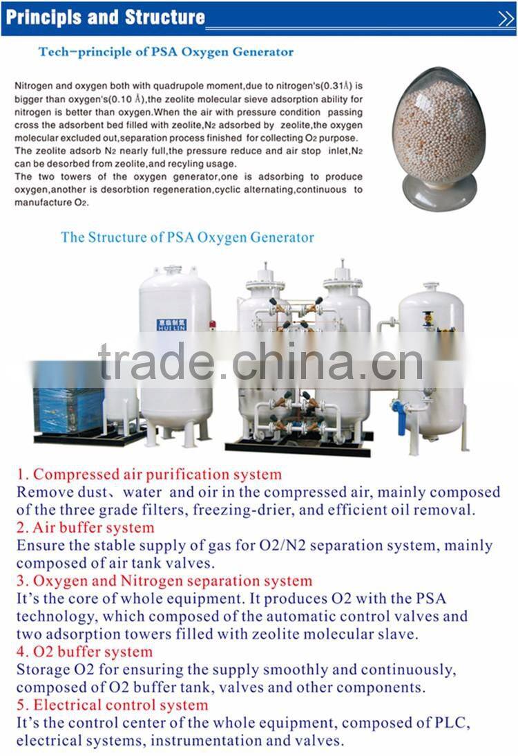 PSA Oxygen Generator by China Professional Supplier