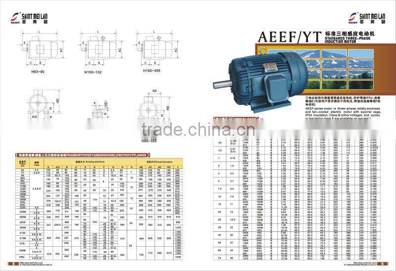 AC electric motor 1kw 127V 220v 50Hz 60Hz Manufacturer