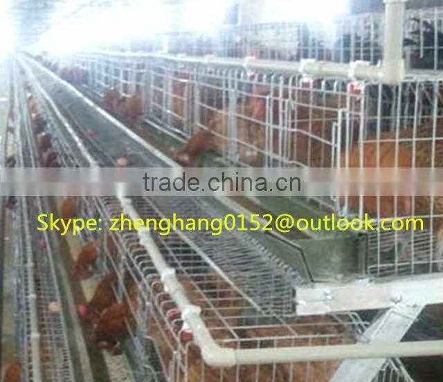 Hot Sale 6 Tiers quail cage