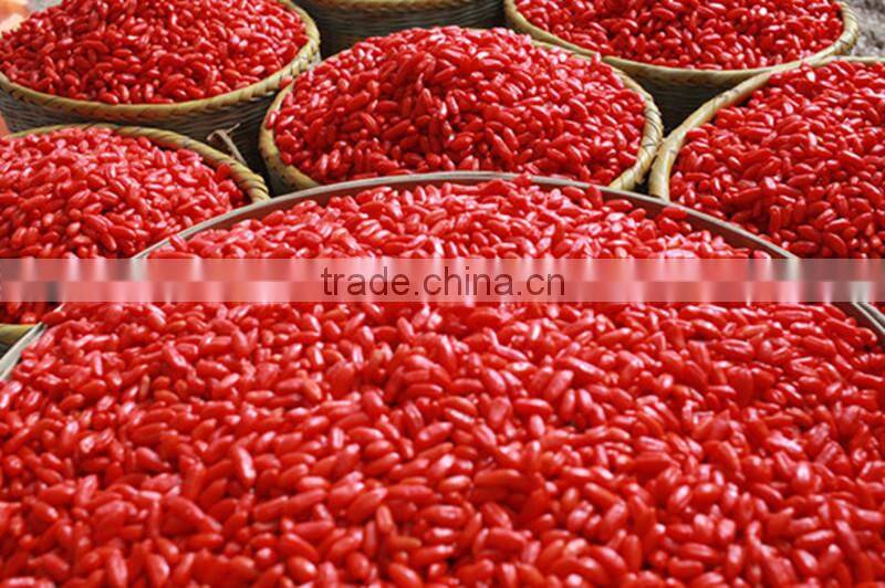 High quality dried raw goji berries