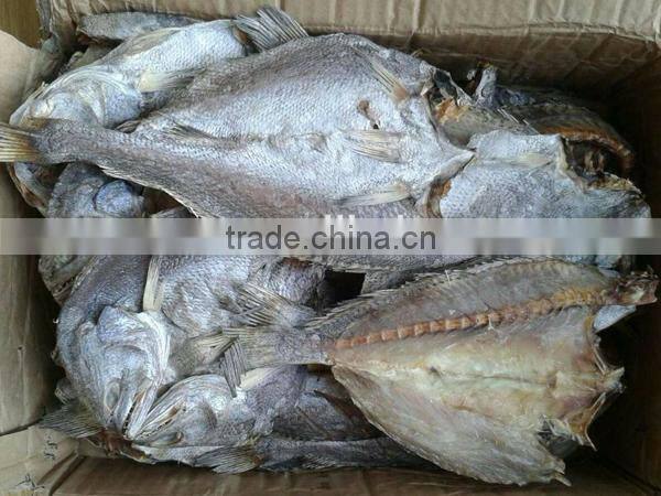 dry salted fish High Quality dried brown croaker fish