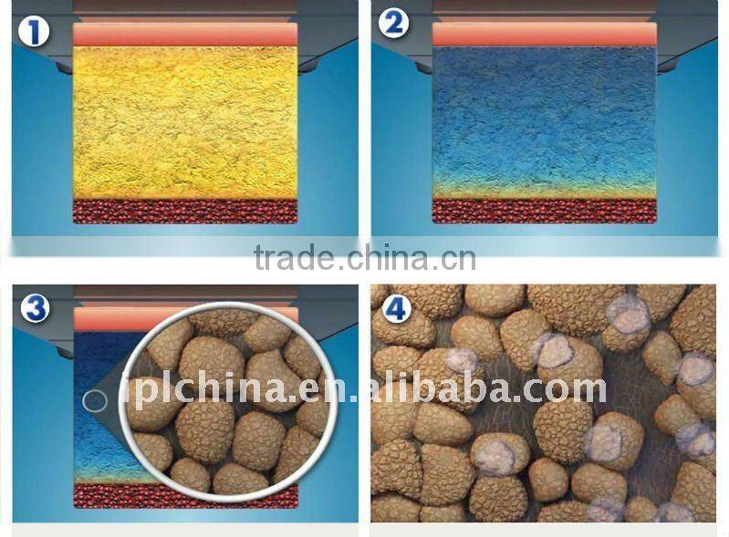 Cavitation Derma Vacuum beauty and skin care Equipment