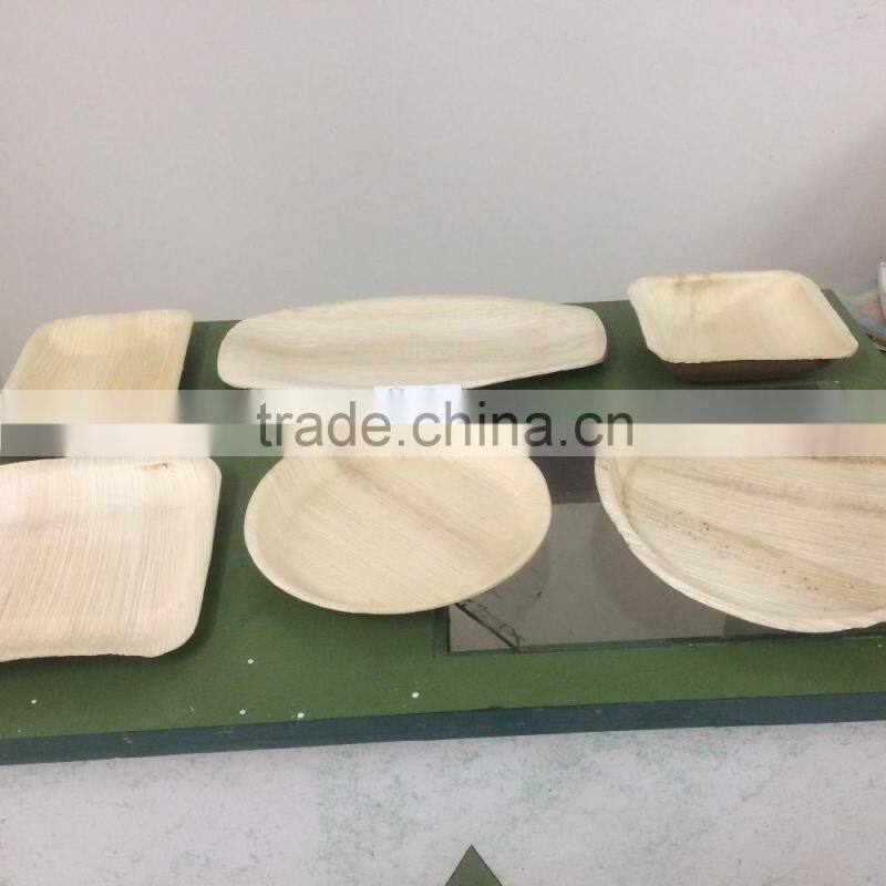 Areca Nut Plates Manufacturers / Supplier in India - Tamil Nadu