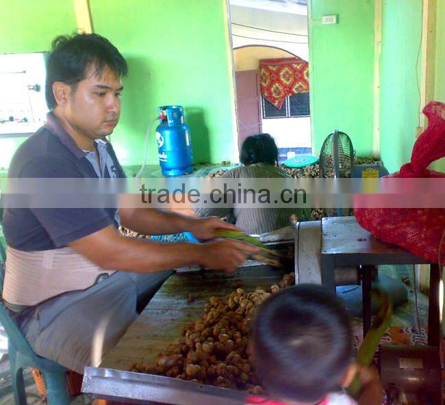 Dried Thai herbal medicine Plai herbal product (Essential oil)