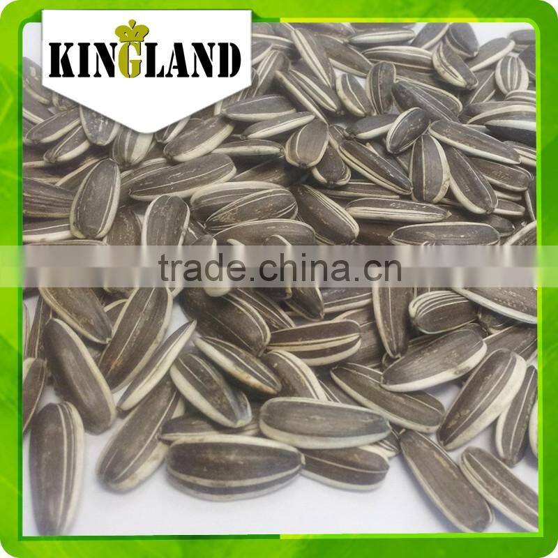 Wholesale export biggest sunflower seeds