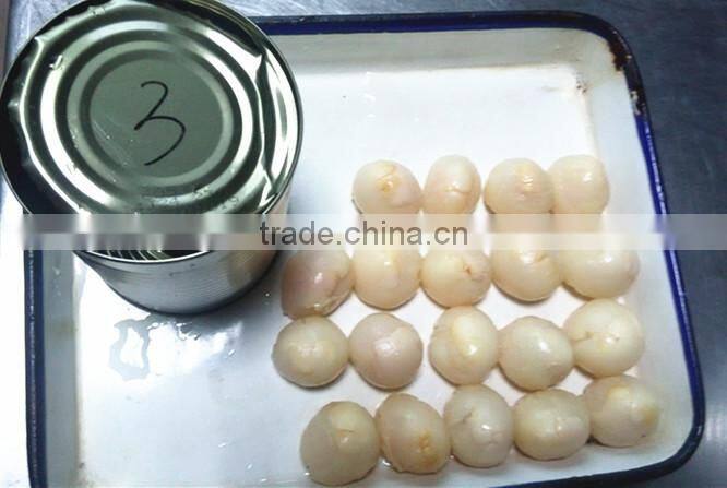 Chinese Brands Canned Fruit Fresh Sweet Canned Lychee fruit in Syrup
