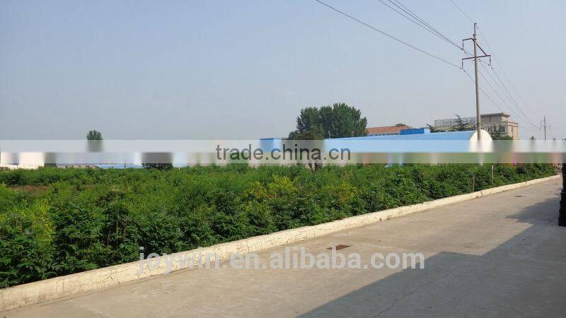 2015 canned pear syrup 850ml,3kg A10 IFS KOSHER