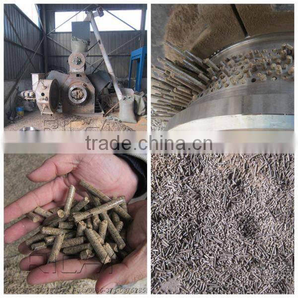 CE Approved Turn-key Biomass Pellet Plant / Wood Pellet Mill Supplier Henan Richi Machinery