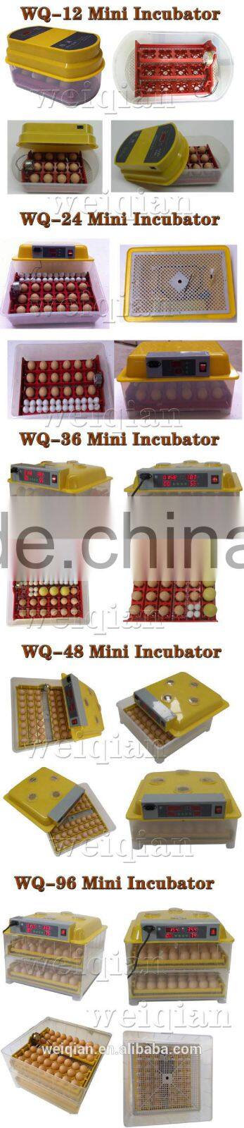 WQ-12 Capacity 12 eggs incubator and hatcher from china