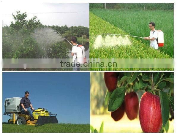 Singflo 12v/24v DC Auto High Pressure Switch Mini Garden Water Pump