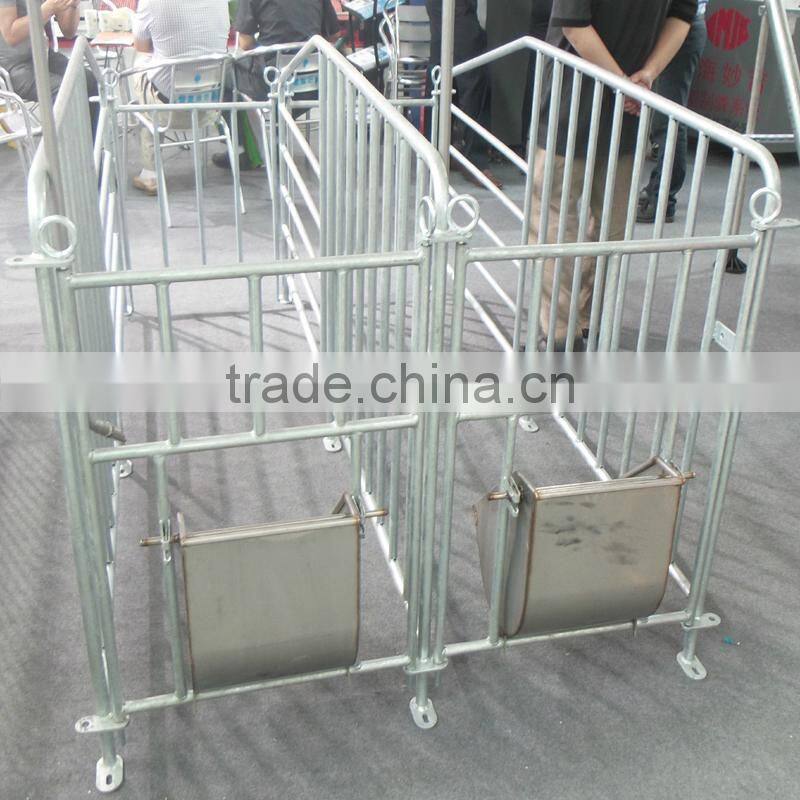 Pig Galvanized Equipment Pig Gestation Stall