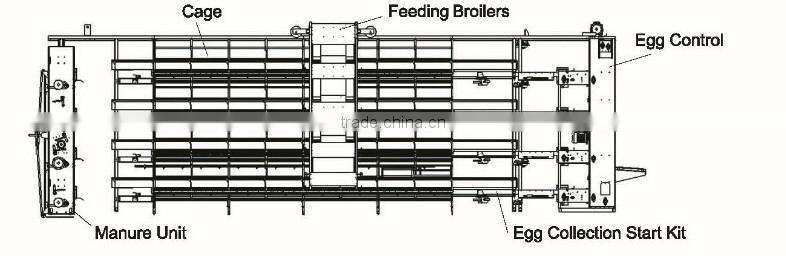 Modern Industrial Scale Broiler Cage with Long Height