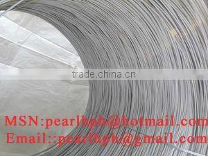 Stainless steel wire rod
