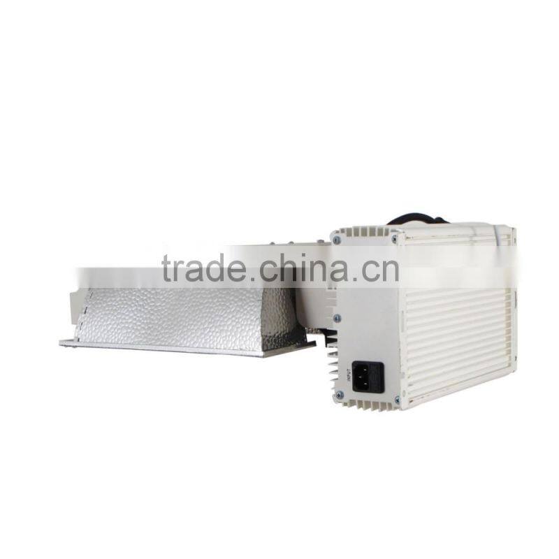 Special double host grow light for plants