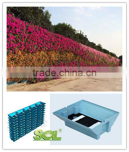 2015 SOL Colored PLASTIC vegetable container automatic watering pot