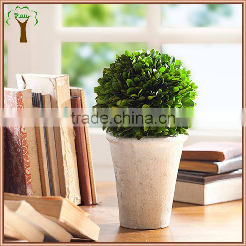 potted preserved buxus crafts and decorations for xmas and wedding ornament