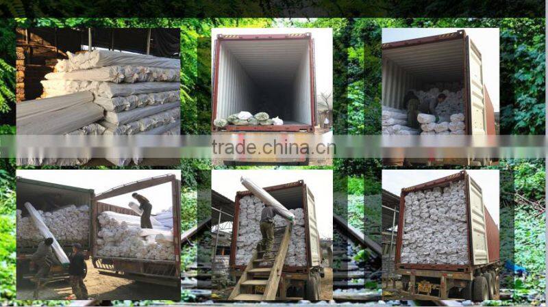 8~10mm * 120cm Dried Tonkin Bamboo Sticks