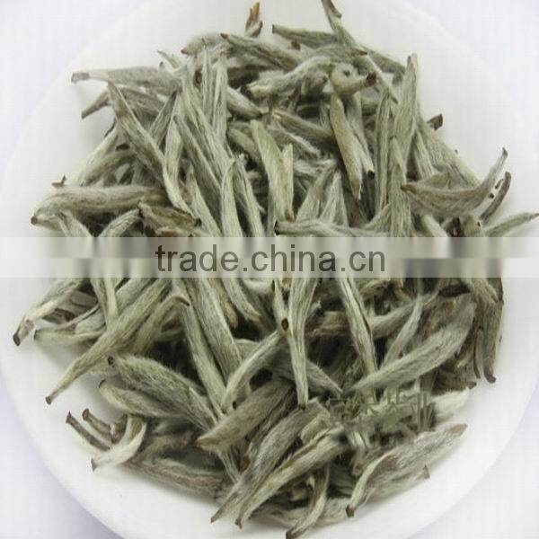 China Famouse white tea Fuding white tea, bai hao yin zhen, Fujian white silver needle