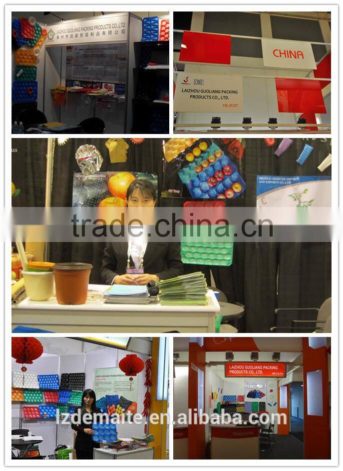 High Quality Pear Growing Paper Bag For Agriculture