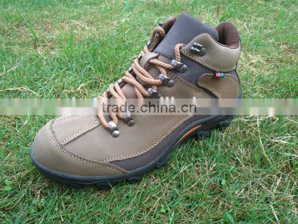 2012 new fashion hiking shoes/Climbing shoes/Trekking shoes