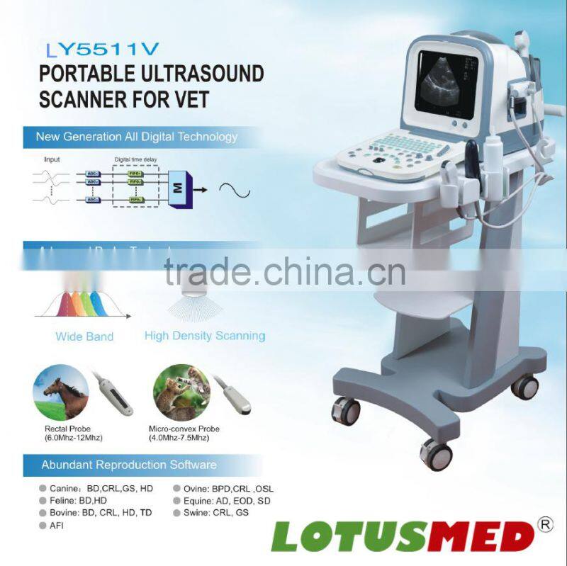 Portable Ultrasound Scanner For Vet