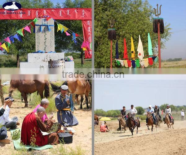 Wool Cashmere Scottish Tartan Scarf WCS14112212