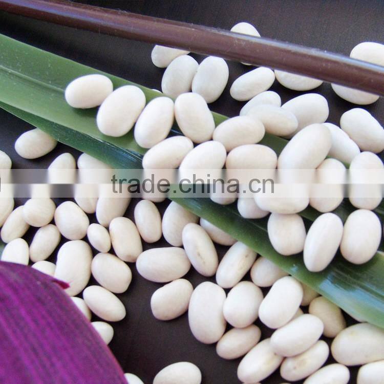 Private Label Organic Hulled Hemp Seed,Hemp Seeds,Shelled Hemp Seeds