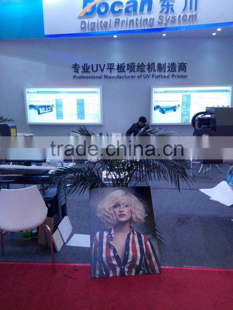 Docan High resolution M10 UV Printer in Fast Speed, Vinyl printer