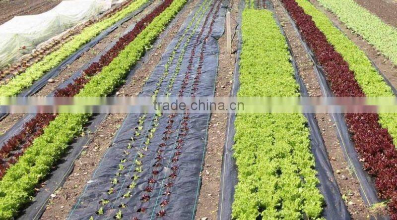 Agriculture weed control for sale